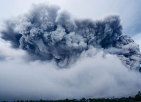 Eksplosiv vulkan taler ud: ”Jeg er vred på Obama”