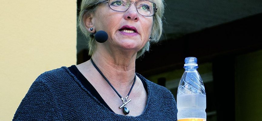 Pia Kjærsgaard taber i gemmeleg