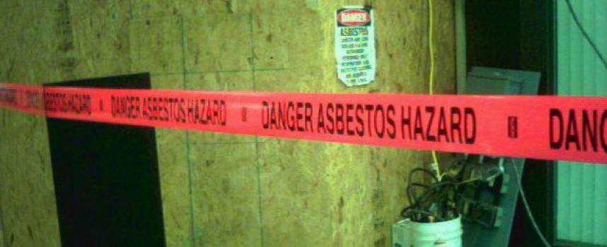 Liberal Alliance: Asbestforbud indskrænker vores frihed
