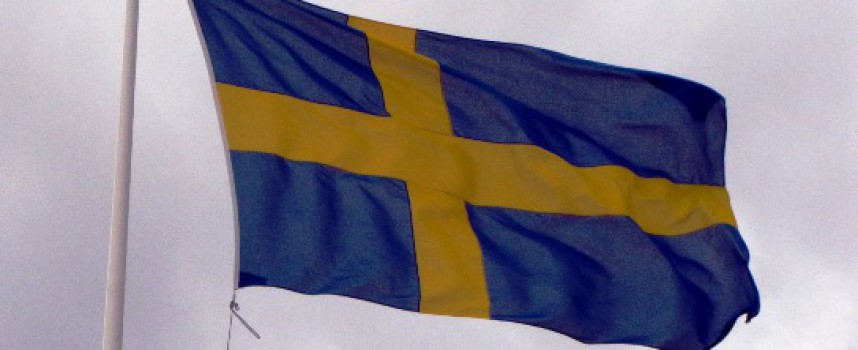 Svensk kunstpoliti afslører forkerte holdninger