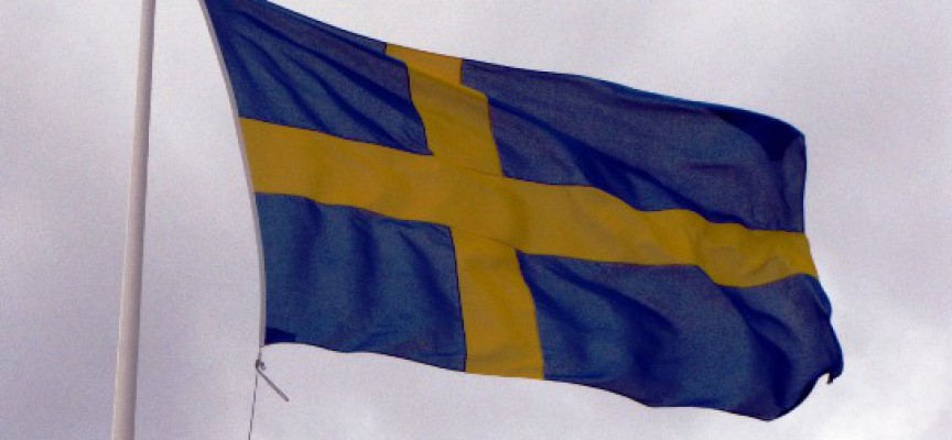 Svensk kunstpoliti afslører forkerte holdninger