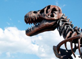 Ukendt dinosaurart fundet i bunden af kummefryser