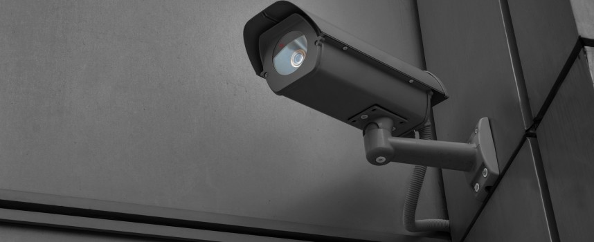 Nu skal SKAT kontrollere via borgernes webcams