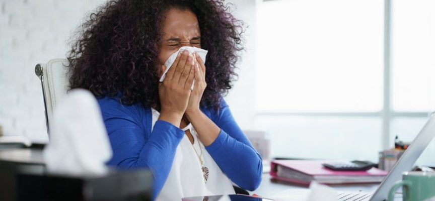 RokokoGuide: Disse allergier trender i 2019