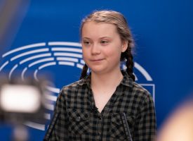 Forskere opdager uudtømmelig energikilde: Midaldrende Greta Thunberg-skeptiske mænd