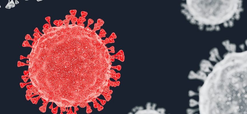 Avis udgiver 2371. artikel om ikke at gå i panik over coronavirus
