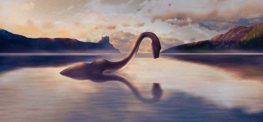 Biologer begejstrede: Loch Ness-uhyret er tilbage