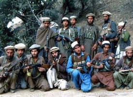 Taliban lover hurtig, individuel behandling af danske tolke