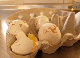 Tabte bakke med æg på gulvet – heldigvis dækkede forsikringen